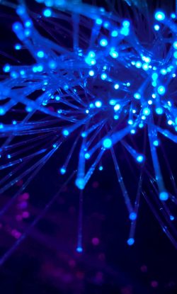 ilink_TelecomNetworkSupport
